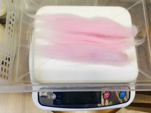 画像2: 特別限定販売「なでしこカラー] (2)