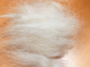 画像3: 獣毛　ベビーキャメル　「ペールベージュ」 (3)