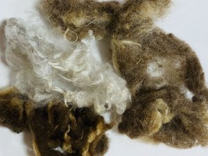 画像3: そのままの羊「いろいろ羊」パック (3)