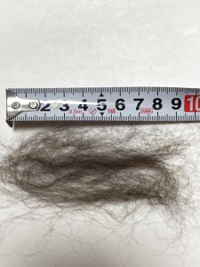 画像3: 新発売　アルパカ「ディープブラウン」 (3)