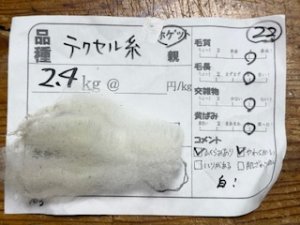 画像1: 小分け　６分割パック！酒井さんのフリース(22）テクセル系　白　ホゲット400ｇ (1)