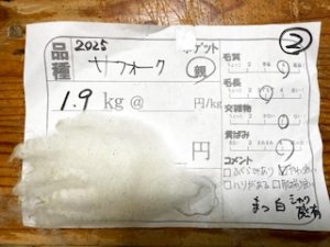 画像1: １０％OFF　送料無料！酒井さんのフリース(2）サフォーク　白　親1.９K (1)