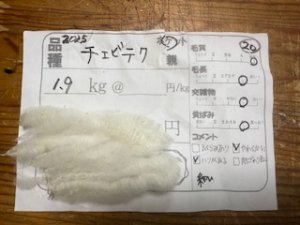 画像1: １０％OFF　送料無料！酒井さんのフリース(20）チェビオットXテクセル　白　ホゲット1.9K (1)