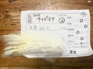 画像1: 小分け４分割！酒井さんのフリース(25）チェビオットXテクセル　親　白　700ｇ (1)