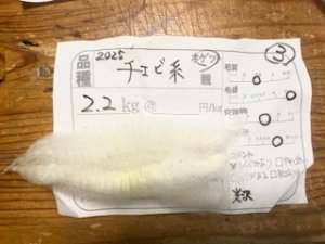 画像1: 小分け２分割！　酒井さんのフリース(3)チェビ系　白　ホゲット1.1K (1)