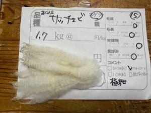 画像1: １０％OFF 送料無料！酒井さんのフリース(15)サッチェビ　ホゲット　白　1.7K (1)
