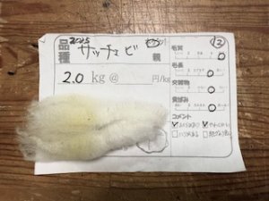 画像1: 小分け　２分割！酒井さんのフリース(12）サッチェビ　白　ホゲット1.0K (1)