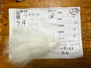 画像1: 小分け　６分割パック！酒井さんのフリース(23）テクセル　親400ｇ (1)
