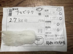 画像1: 小分け　４分割！酒井さんのフリース(18）チェビオットXテクセル　白　ホゲット650ｇ (1)