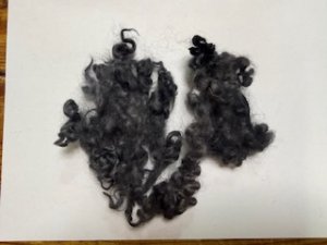 画像2: クリクリの巻き毛　染色「チャコール」 (2)