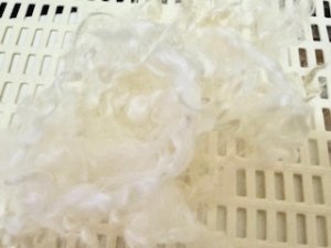 画像3: OUTLET クリクリの巻き毛「ホワイト」 (3)