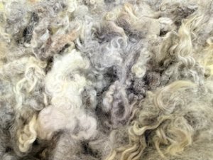 画像3: クリクリの巻き毛　天然色「グレイ系MIX」 (3)
