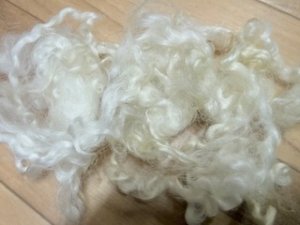 画像2: OUTLET クリクリの巻き毛「ホワイト」 (2)