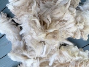 画像3: ★送料無料★国産羊毛　酒井さんのフリース「いいとこどり」白2.0K　NO.21 (3)