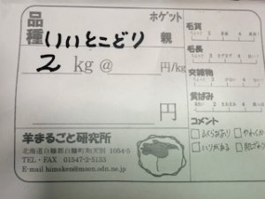 画像2: ★送料無料★国産羊毛　酒井さんのフリース「いいとこどり」白2.0K　NO.21 (2)