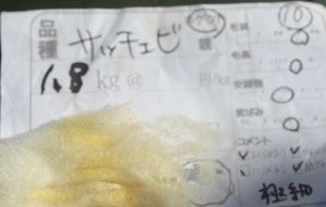 画像1: 国産羊毛　酒井さんのフリース「サフォークXチェビオット」ホゲット　白1.8K　NO.10 (1)