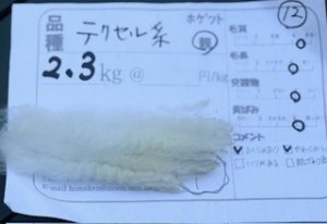 画像1: ★送料無料★国産羊毛　酒井さんのフリース「テクセル系」親　白2.3K　NO.12 (1)