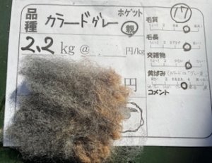 画像1: ★送料無料★国産羊毛　酒井さんのフリース「グレイMIX」親　カラード2.2K　NO.17 (1)