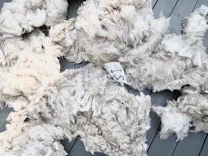 画像1: ★送料無料★国産羊毛　酒井さんのフリース「いいとこどり」白2.0K　NO.21 (1)