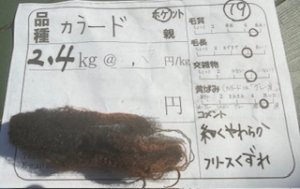 画像1: ★送料無料★国産羊毛　酒井さんのフリース「黒」　ホゲット　カラード2.4K　NO.19 (1)