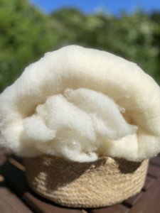 画像1: 価格改定　お買い得　特別梱包ランヴィエ生成り羊毛　１ｋパック (1)