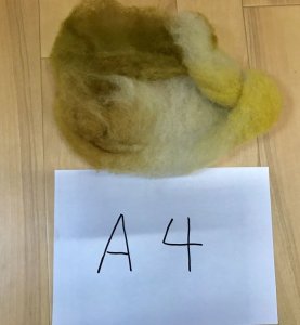 画像6: 完売　HandDye「酒井さんの羊　グラデーション仕上げ「F」赤味系の濃ベージュ・薄茶＋深緑 (6)