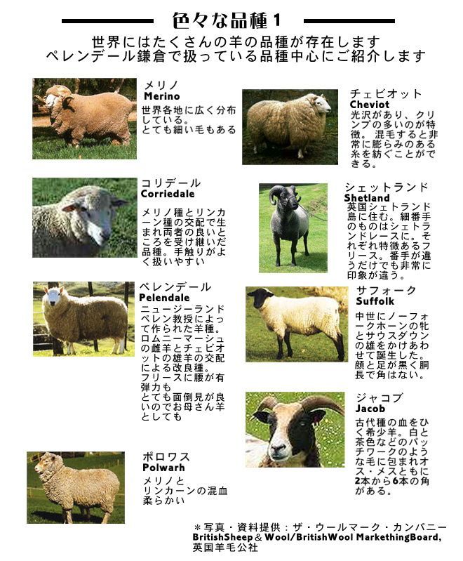羊のお話11