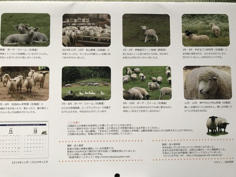 これで終了 年 羊カレンダー ひつじがすき ペレンデール鎌倉ｎｅｔshop