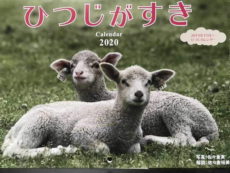 これで終了 年 羊カレンダー ひつじがすき ペレンデール鎌倉ｎｅｔshop